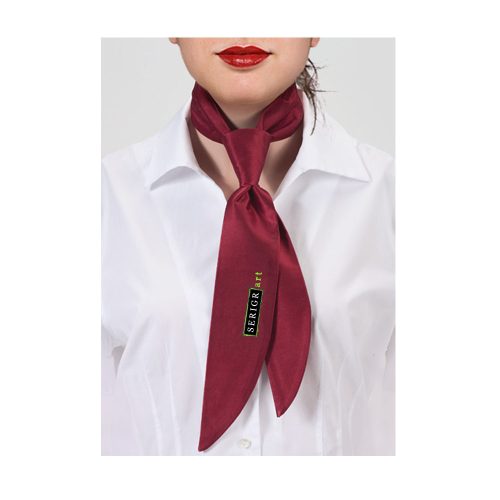 Admistrativo feminino lenço